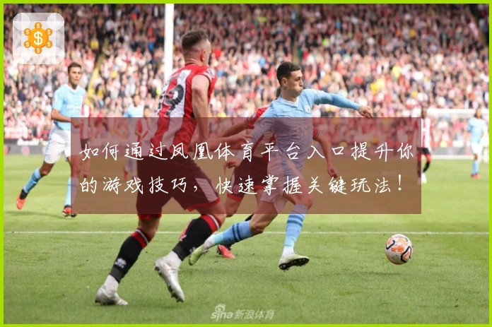 如何通过凤凰体育平台入口提升你的游戏技巧，快速掌握关键玩法！