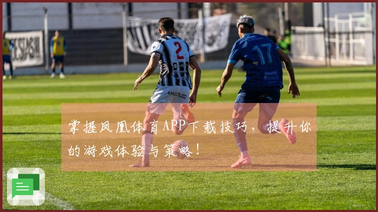掌握凤凰体育APP下载技巧，提升你的游戏体验与策略！