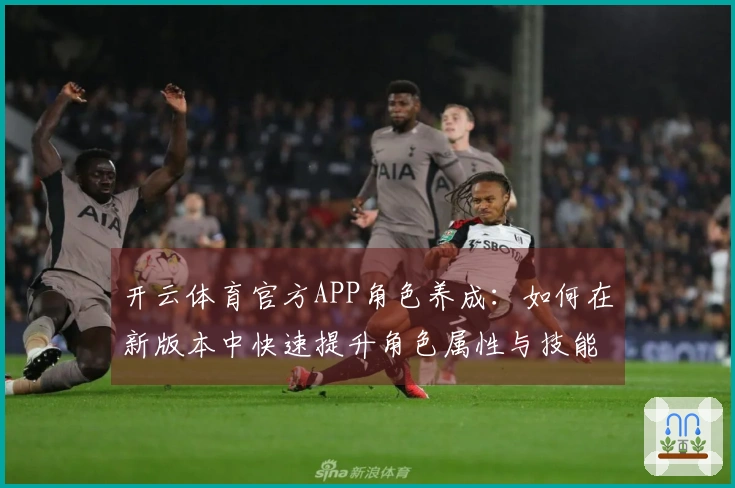 开云体育官方APP角色养成：如何在新版本中快速提升角色属性与技能？